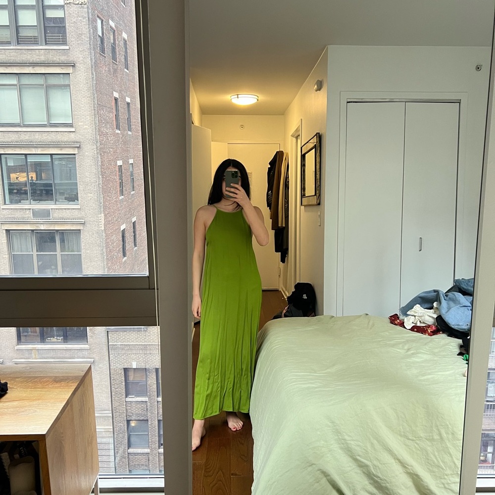 Zara dress